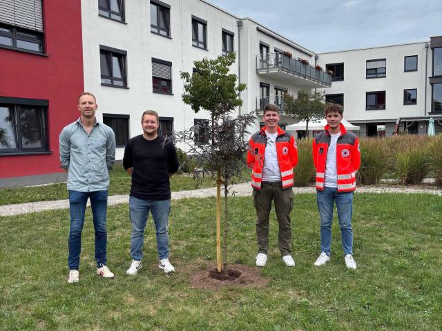Baumpflanzchallenge HP