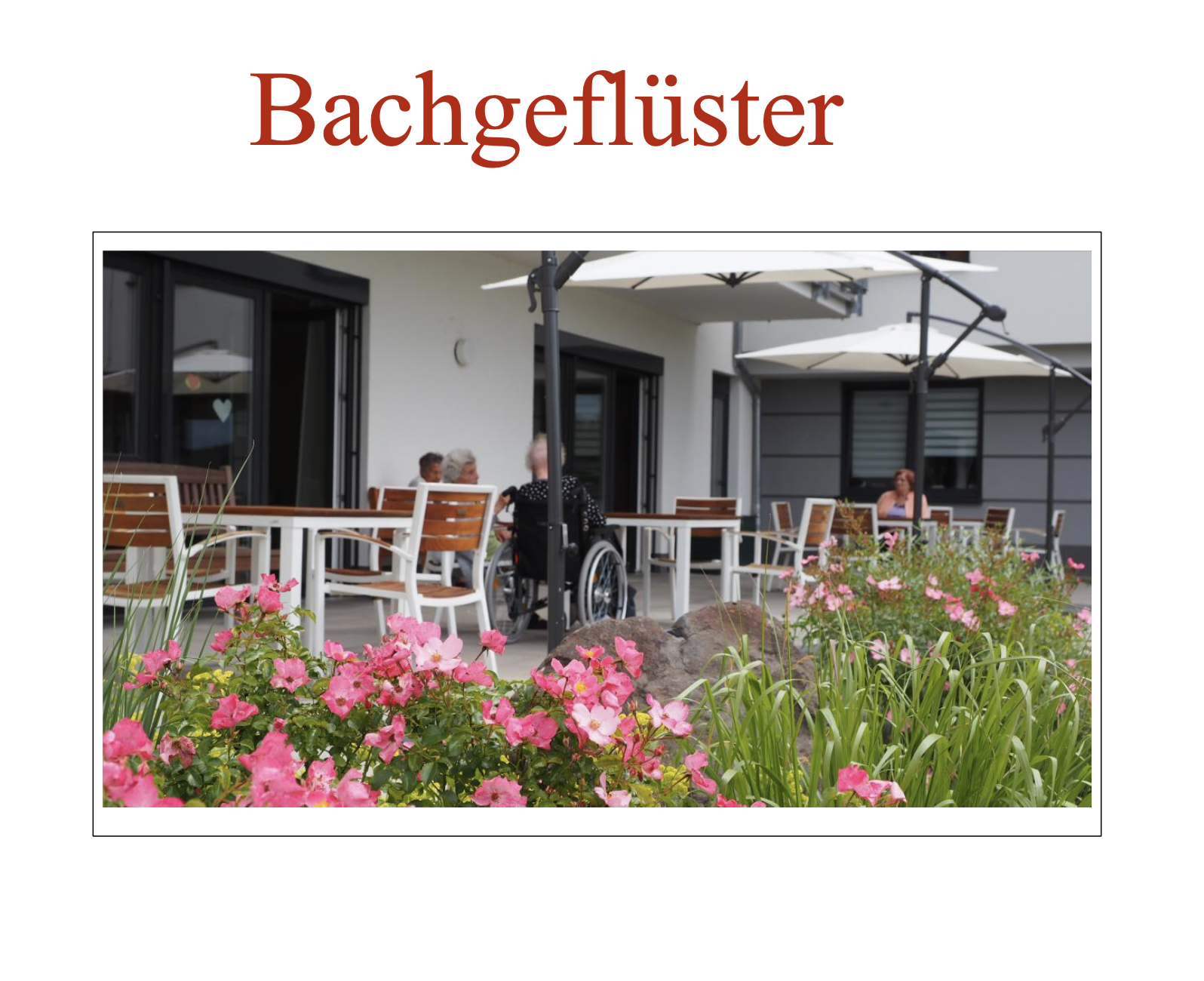 Bachgefluster Ausgabe September 2023