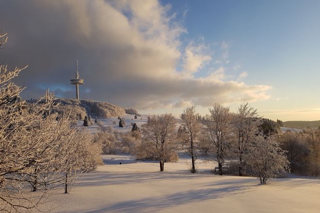 Foto: Die Bergwacht Schotten des DRK.